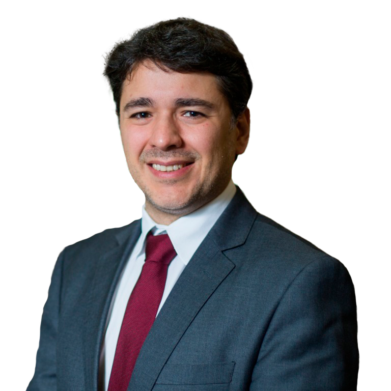 prof-dr-lucas-zambon-ibsp