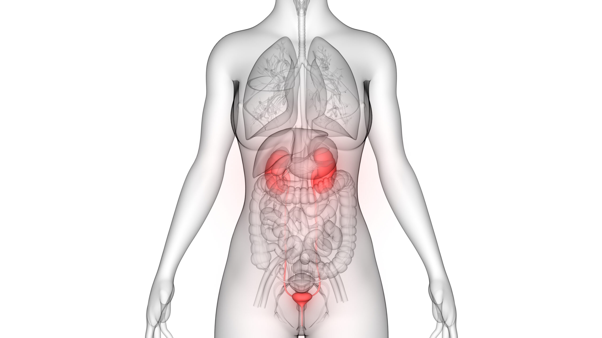 Infecção do trato urinário